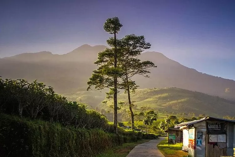 Pemandangan Alam Kabupaten Bogor
